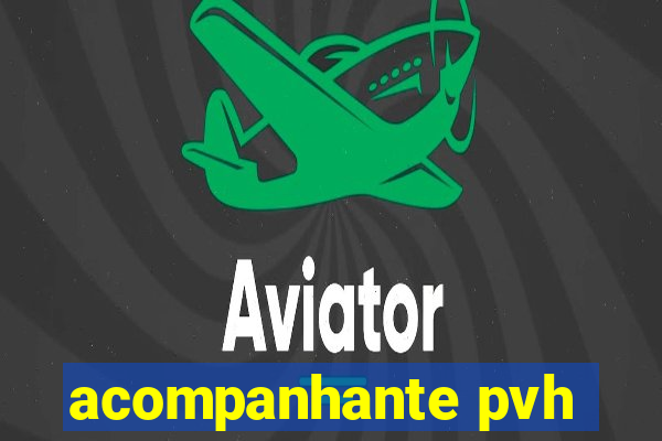 acompanhante pvh